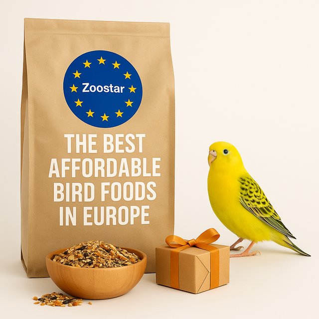 Billigt fågelmat