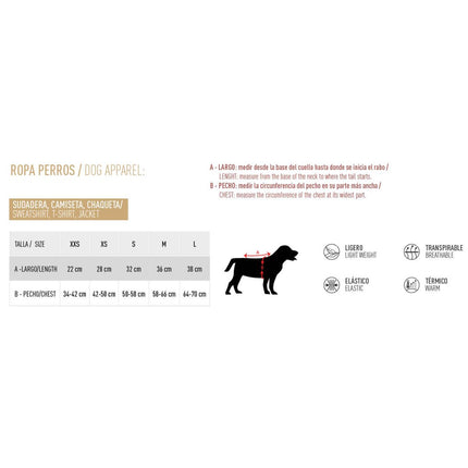 Looney Tunes Hundrock Looney Tunes Multicolour