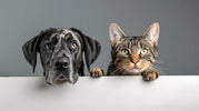 Hundprodukter och Kattprodukter