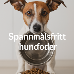 Spannmålsfritt hundfoder