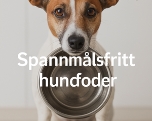 spannmålsfritt hundfoder