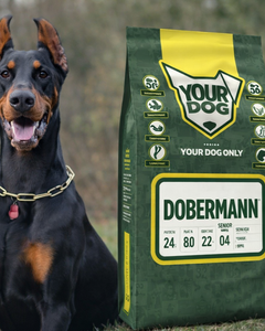 Collection image for: Dobermann