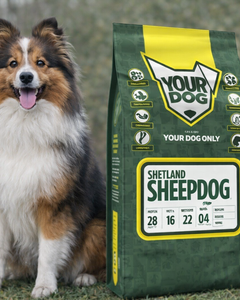 Collection image for: Shetland Sheepdog