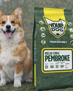 Collection image for: Pembroke Welsh Corgi