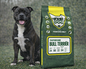 Collection image for: Staffordshire Bullterrier