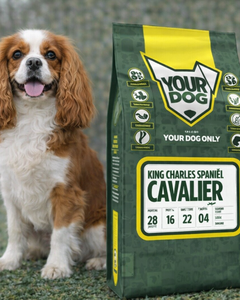 Collection image for: Cavalier King Charles Spaniel
