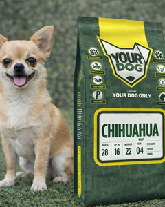 Collection image for: Chihuahua