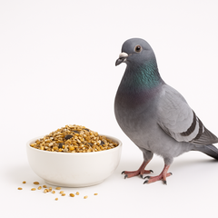 Collection image for: Duvfoder