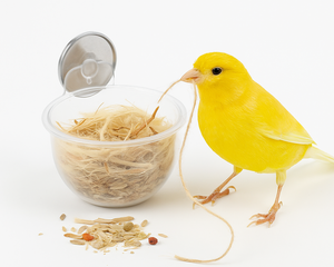 Collection image for: Fågelbo