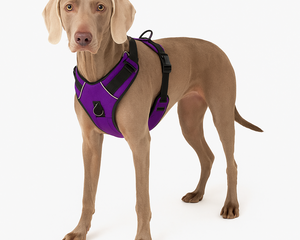 Hundselar