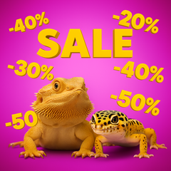 Collection image for: Kampanjer för reptil