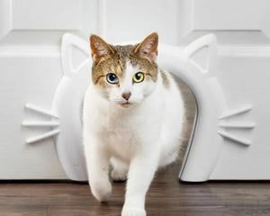 Collection image for: Kattluckor & Kattdörrar