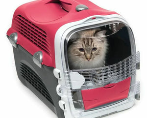 Transport & Burar för Katt