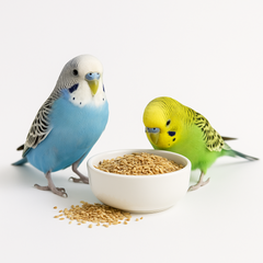 Collection image for: Undulatfoder