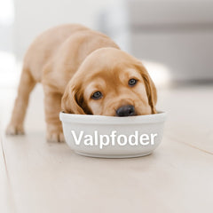 Valpfoder