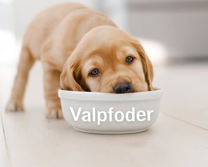 Valpfoder