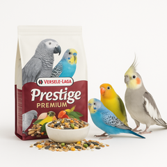 Collection image for: Versele-Laga – Fågel