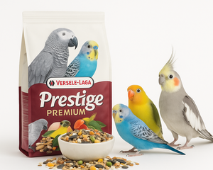 Collection image for: Versele-Laga – Fågel