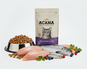 Collection image for: ACANA Kattfoder