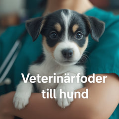 Veterinärfoder till hund