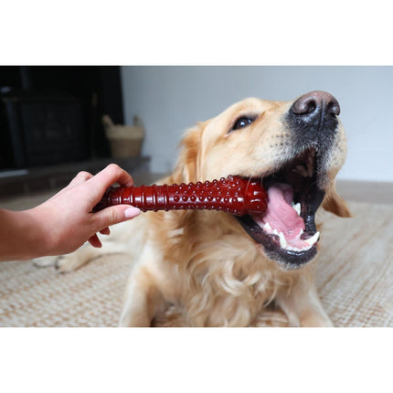 Nylabone Ben Nylabone Brun Bacon Xl