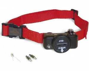 Petsafe Hundhalsband Petsafe Rouge