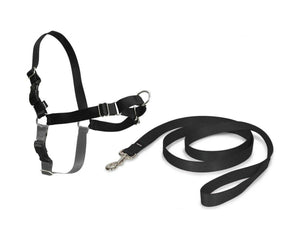 Petsafe Husdjusbälte Petsafe Easy Walk Svart Medianav (M)