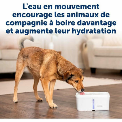 Petsafe Fontän För Husdjur Petsafe Vit