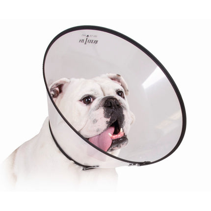 Kvp Elizabethan Hundhalsband Kvp Saf-T-Clear (38-63 Cm)