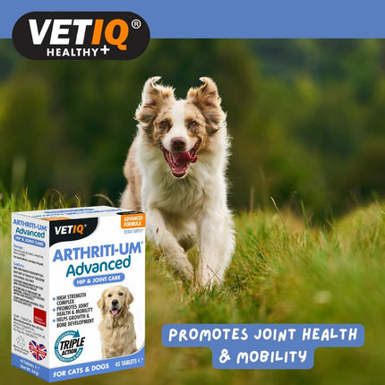 Mark & Chappell Kosttillskott Och Vitaminer Mark & Chappell Vetiq Arthriti-Um Advanced