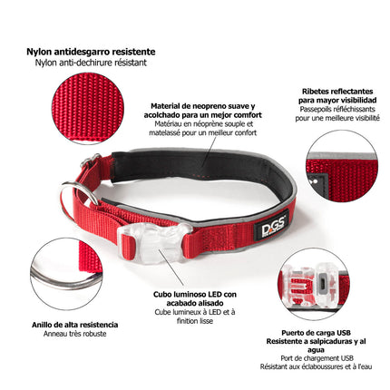 Dog Gone Smart Hundhalsband Dog Gone Smart Röd L Ljus