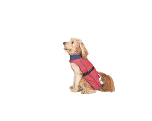 Dog Gone Smart Regnrock För Hundar Dog Gone Smart Korall 30 Cm