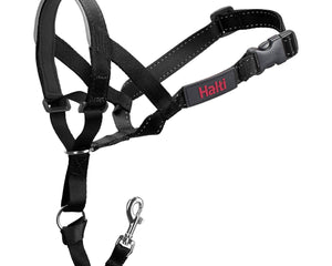 Company Of Animals Hund Utbildning Kragar Company Of Animals Halti Svart Munkorg (31-40 Cm)