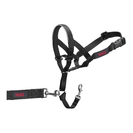 Company Of Animals Hund Utbildning Kragar Company Of Animals Halti Svart Munkorg (40-54 Cm)