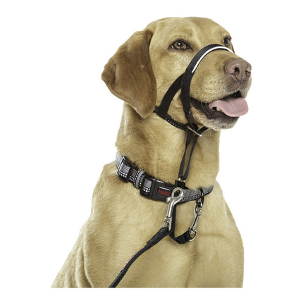 Company Of Animals Hund Utbildning Kragar Company Of Animals Halti Svart Munkorg (40-54 Cm)