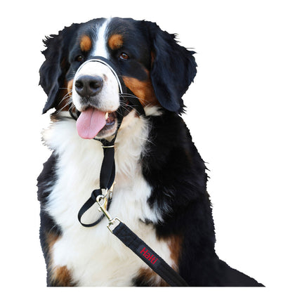 Company Of Animals Hund Utbildning Kragar Company Of Animals Halti Svart Munkorg (40-54 Cm)