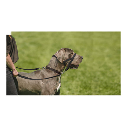 Company Of Animals Hund Utbildning Kragar Company Of Animals Halti Svart Munkorg (51-73 Cm)