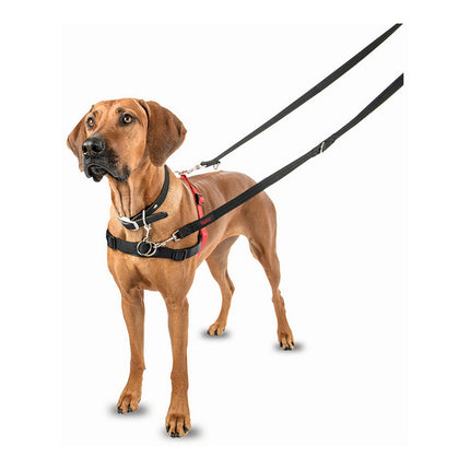 Company Of Animals Hundsele Company Of Animals Halti Svart/Röd Storlek S (36-64 Cm)