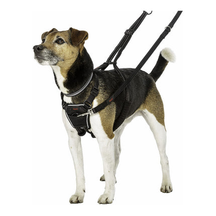 Company Of Animals Hundsele Company Of Animals Halti Storlek S (26-36 Cm)