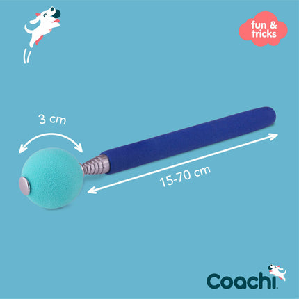 Coachi Training Toy Coachi Stick Blå