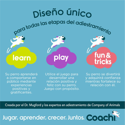 Coachi Training Toy Coachi