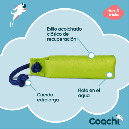 Coachi Training Toy Coachi