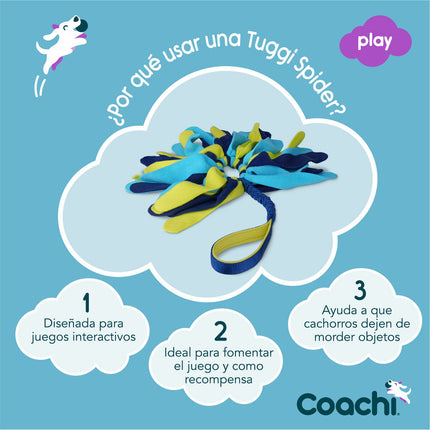 Coachi Training Toy Coachi Tuggi Spider Blå