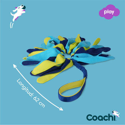 Coachi Training Toy Coachi Tuggi Spider Blå