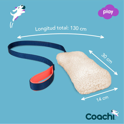 Coachi Training Toy Coachi Chase & Crinkle Blå