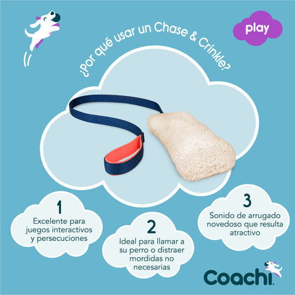 Coachi Training Toy Coachi Chase & Crinkle Blå