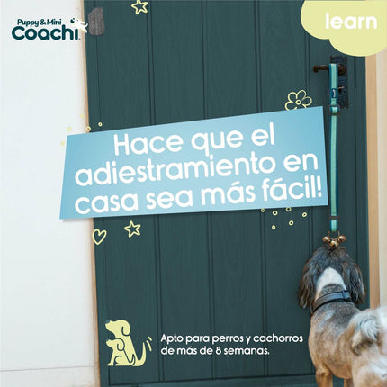 Coachi Hundsele Coachi