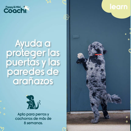 Coachi Hundsele Coachi