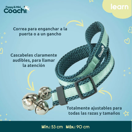 Coachi Hundsele Coachi