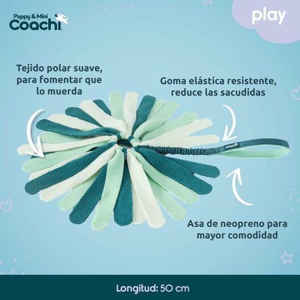 Coachi Hundsele Coachi